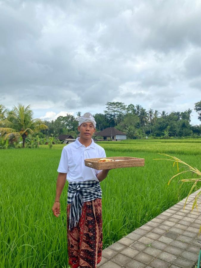 Ab Ubud Luxury Villa Kültér fotó
